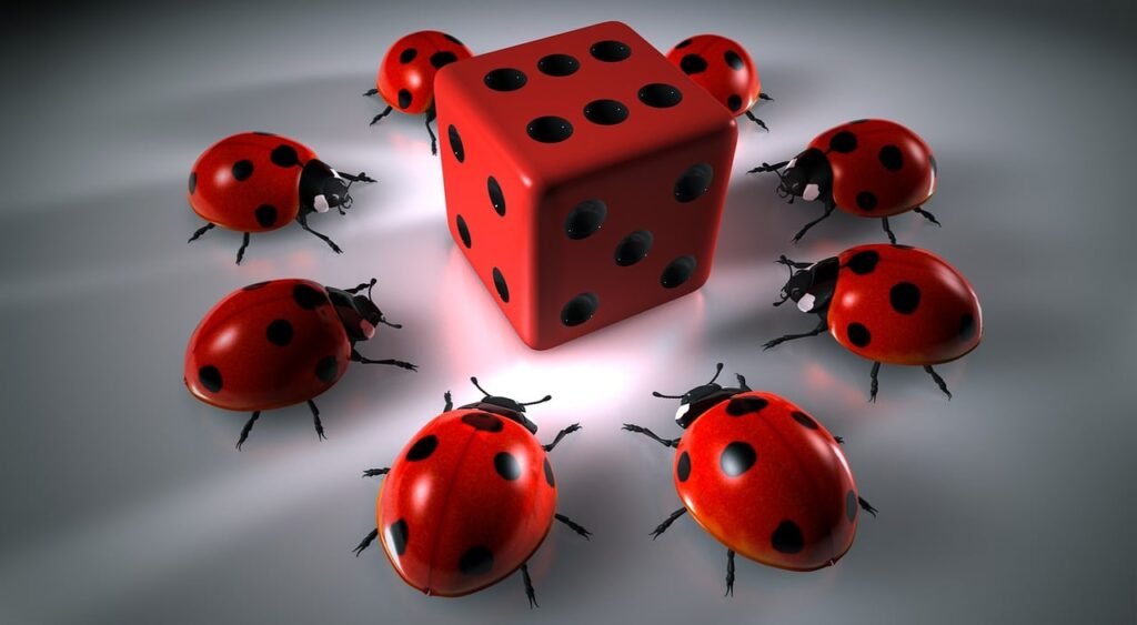 Casino Games Where You Can Win Real Money Casino Games Where You Can Win Real Money